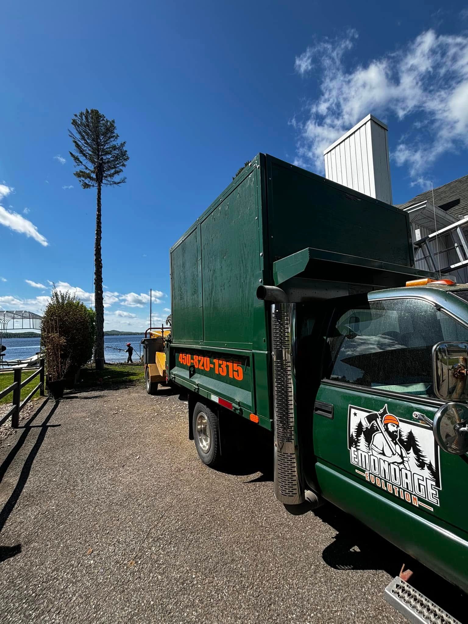 Green truck with enclosed cargo, parked near a waterfront. A tall tree-shaped cell tower stands nearby. Blue sky.