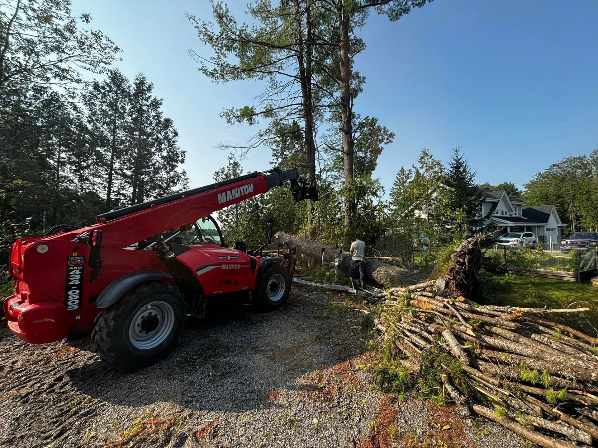 Red telescopic handler moving cut tree branches, other logs nearby, man in background, sunny outdoor setting.