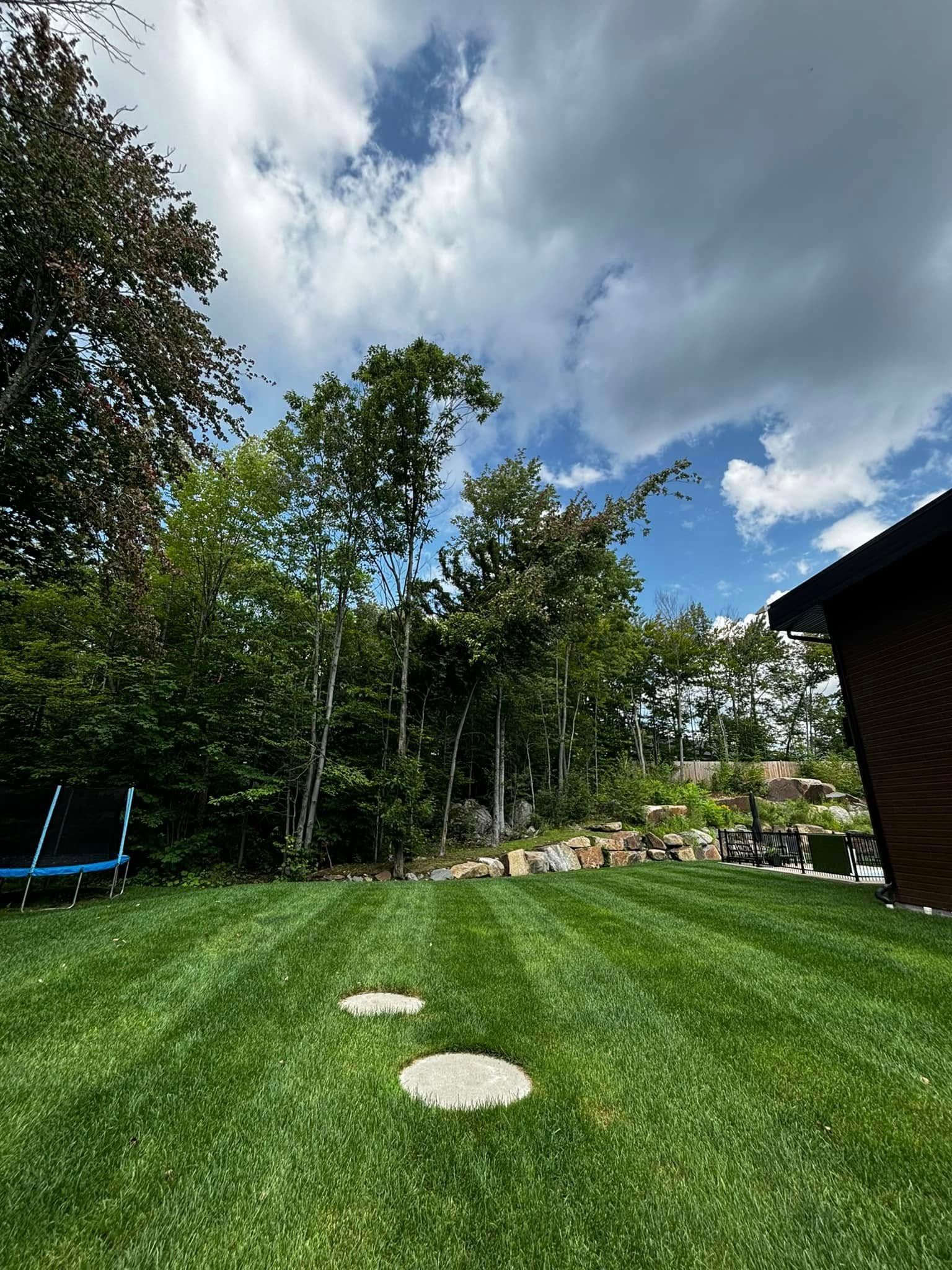 Green lawn with stepping stones, trees, and cloudy blue sky.