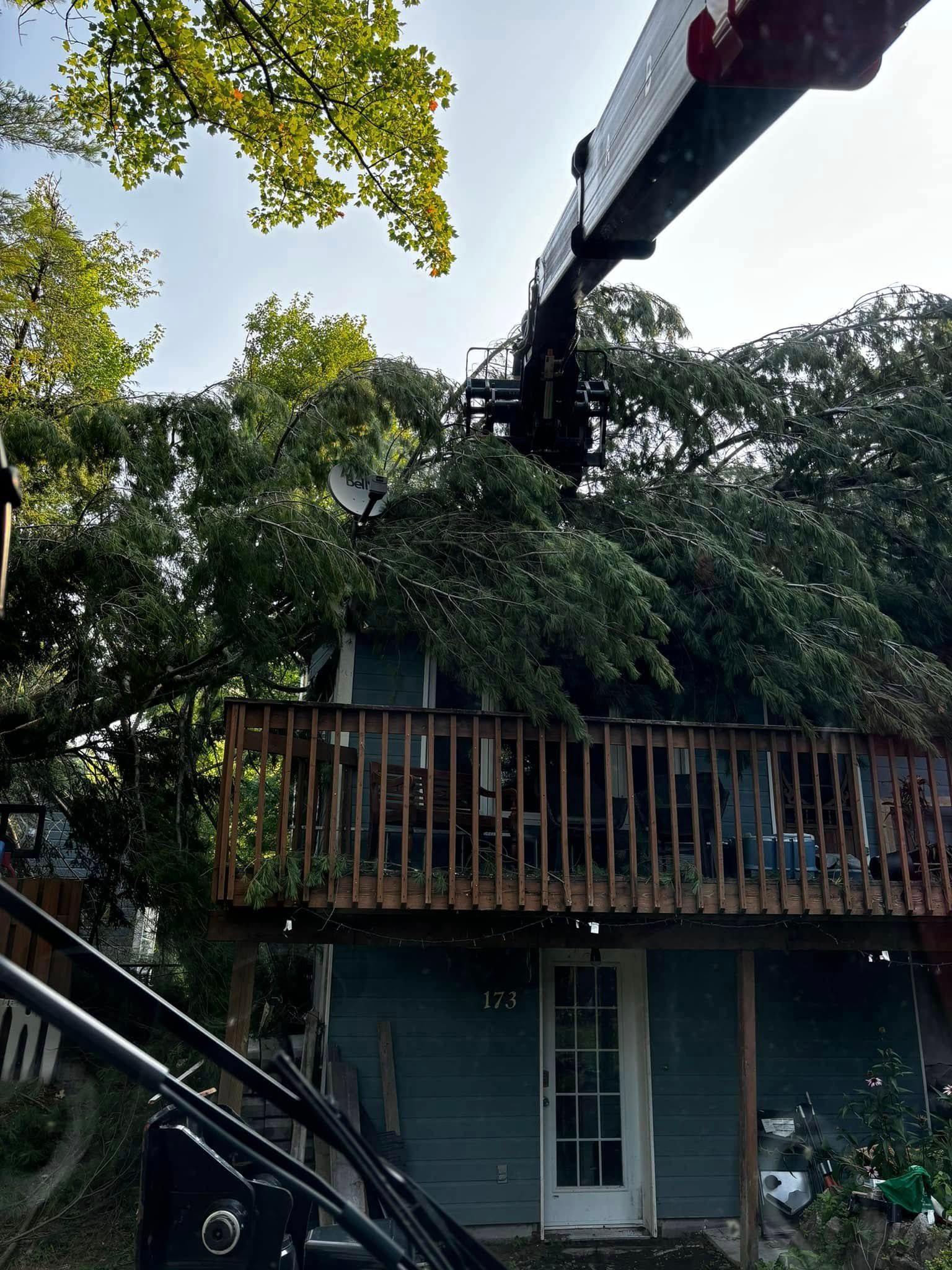 Crane trimming tree branches over a house with a wooden deck.