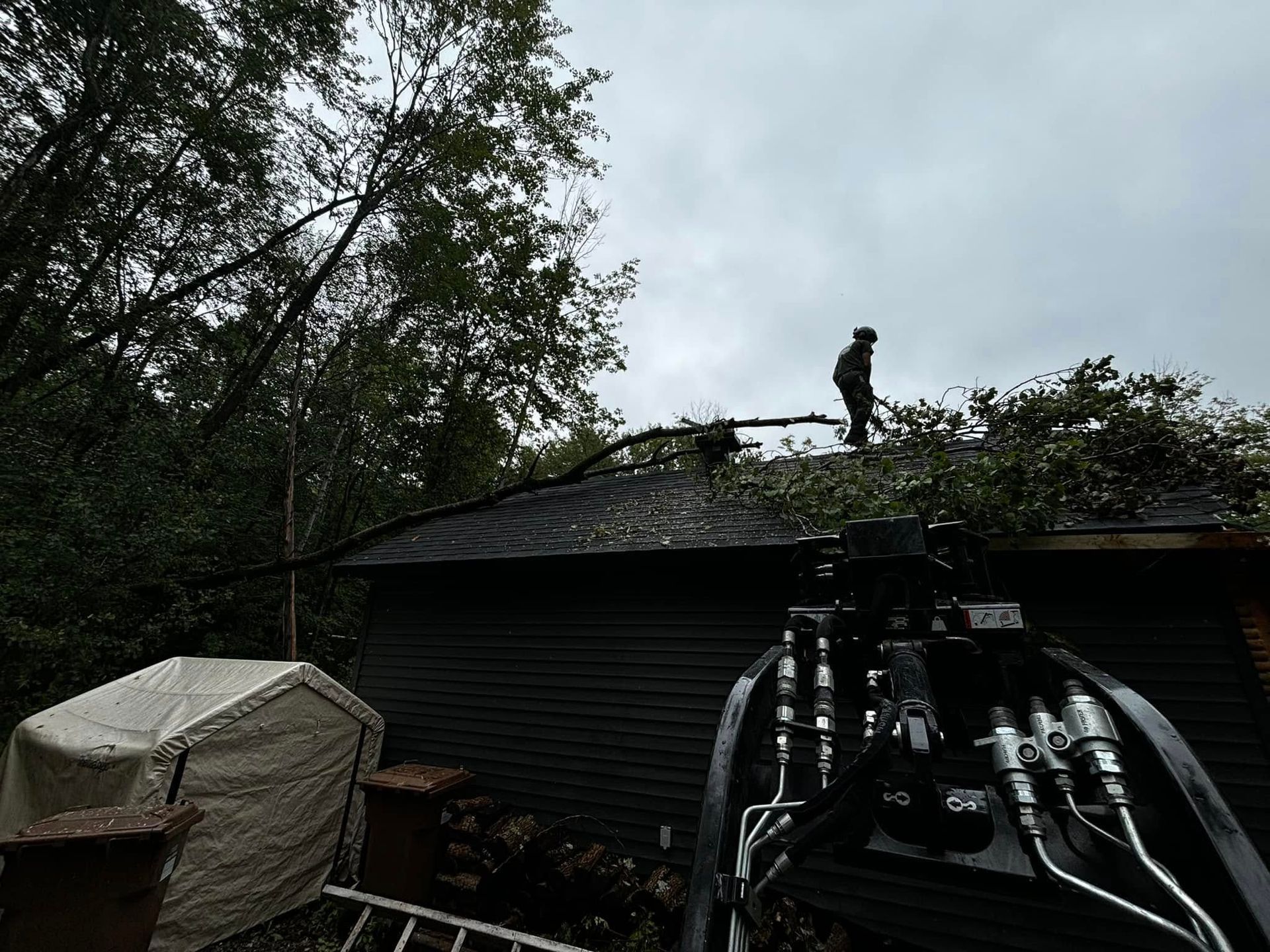 Person on a dark roof clearing branches. Gray sky, trees in the background, a white tarp, and equipment in the foreground.