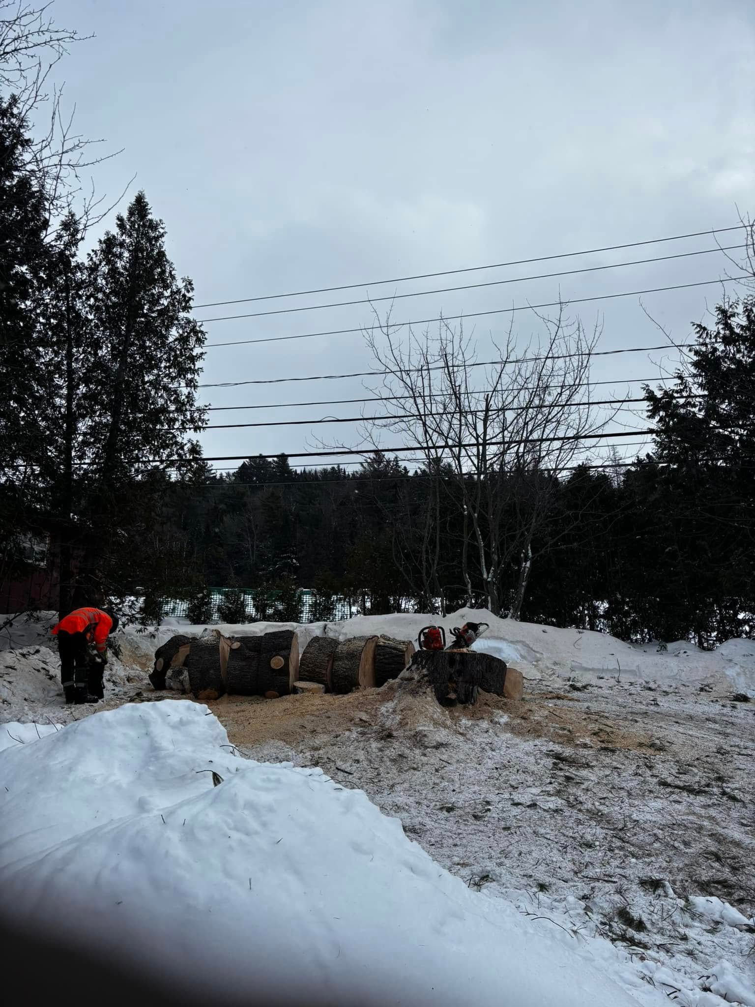 Snowy yard with chainsaw work in progress. Person in orange outfit near cut logs, dark trees in background.