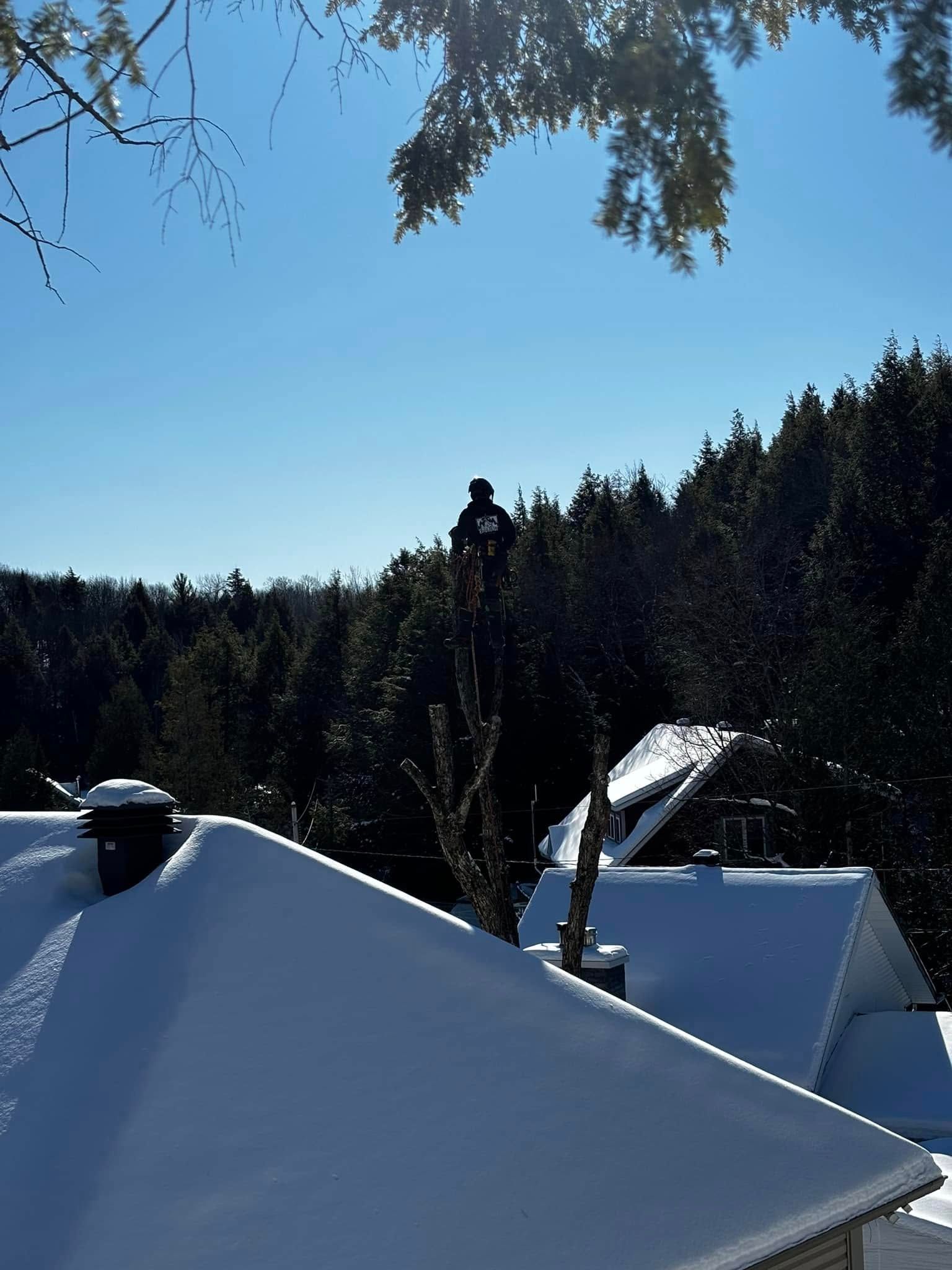 Snow-covered rooftops with chimney and satellite dish; forest in background under a bright blue sky.