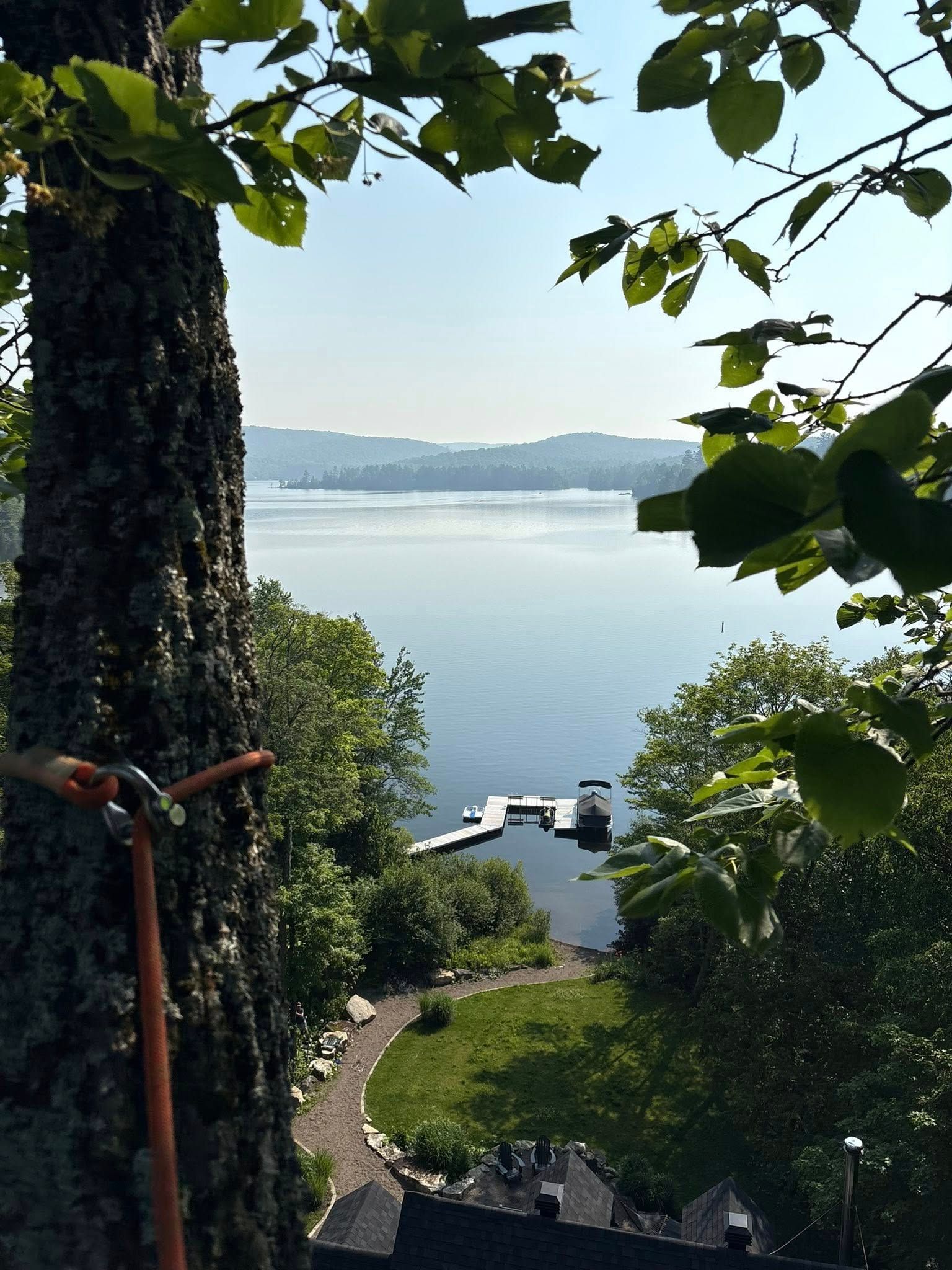 View of a lake framed by tree branches. A dock extends into the water.