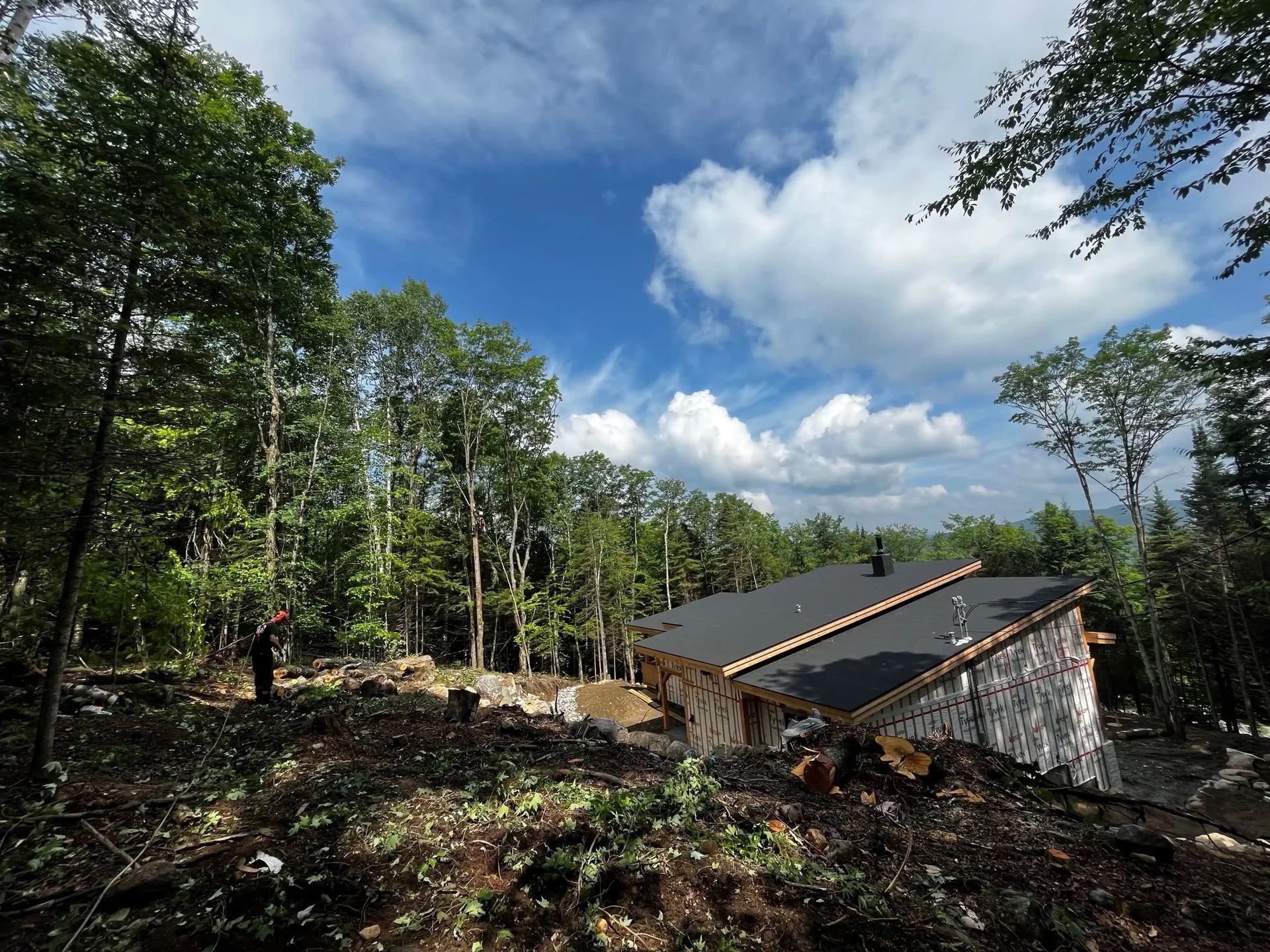 Cabin nestled in a forest clearing under a partly cloudy sky.