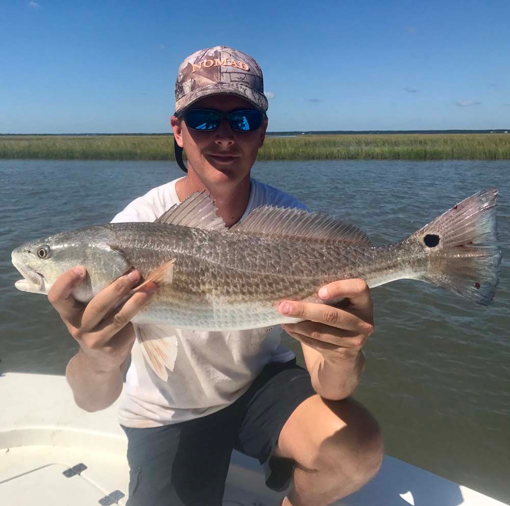 Person holding a large fish while sitting on a boat in shallow water with marshland in the background
