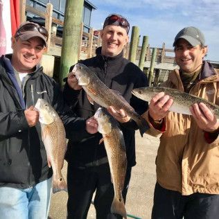 Three anglers holding large fish at a dock on a sunny day