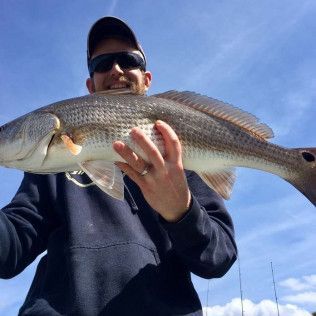 Person holding a large fish outdoors under a blue sky