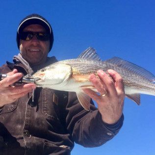 Person holding a striped fish against a clear blue sky