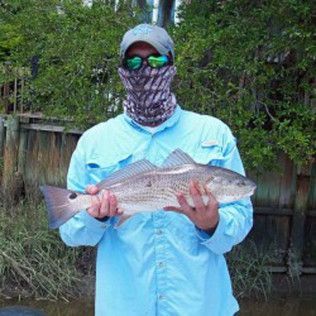 Person in light blue shirt holding a large fish outdoors by a wooden fence.
