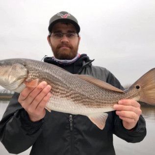Person holding a large striped fish outdoors on a cloudy day