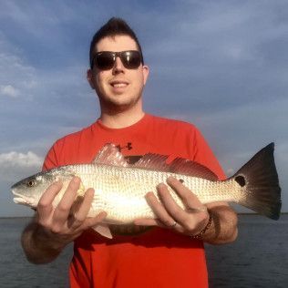 Man holding a large silver fish while standing outdoors near the water, wearing sunglasses and a red shirt.