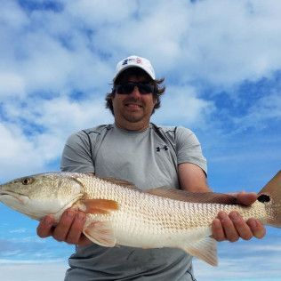 Man holding a large fish on a beach under a blue sky
