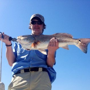 Person holding a large fish against a clear blue sky.