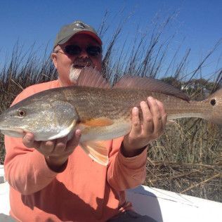Person holding a large fish outdoors under a blue sky.
