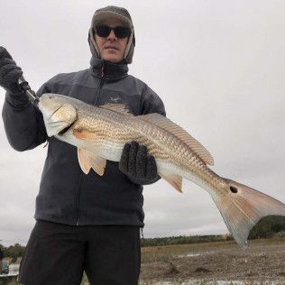Person holding a large fish outdoors on a cloudy day.