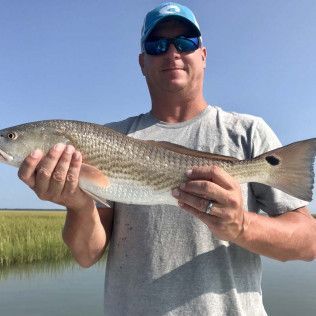 Man holding a large silver fish outdoors by the water, wearing a gray shirt and blue cap.