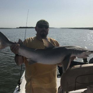 Person holding a large fish on a boat at sunset, with water and shoreline in the background