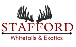 Stafford Whitetails & Exotics logo with black antlers above red text on white background