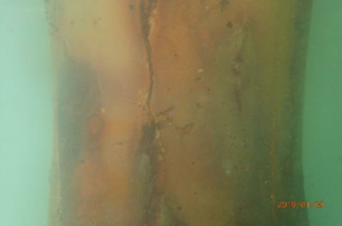 Pile Crack (Underwater)