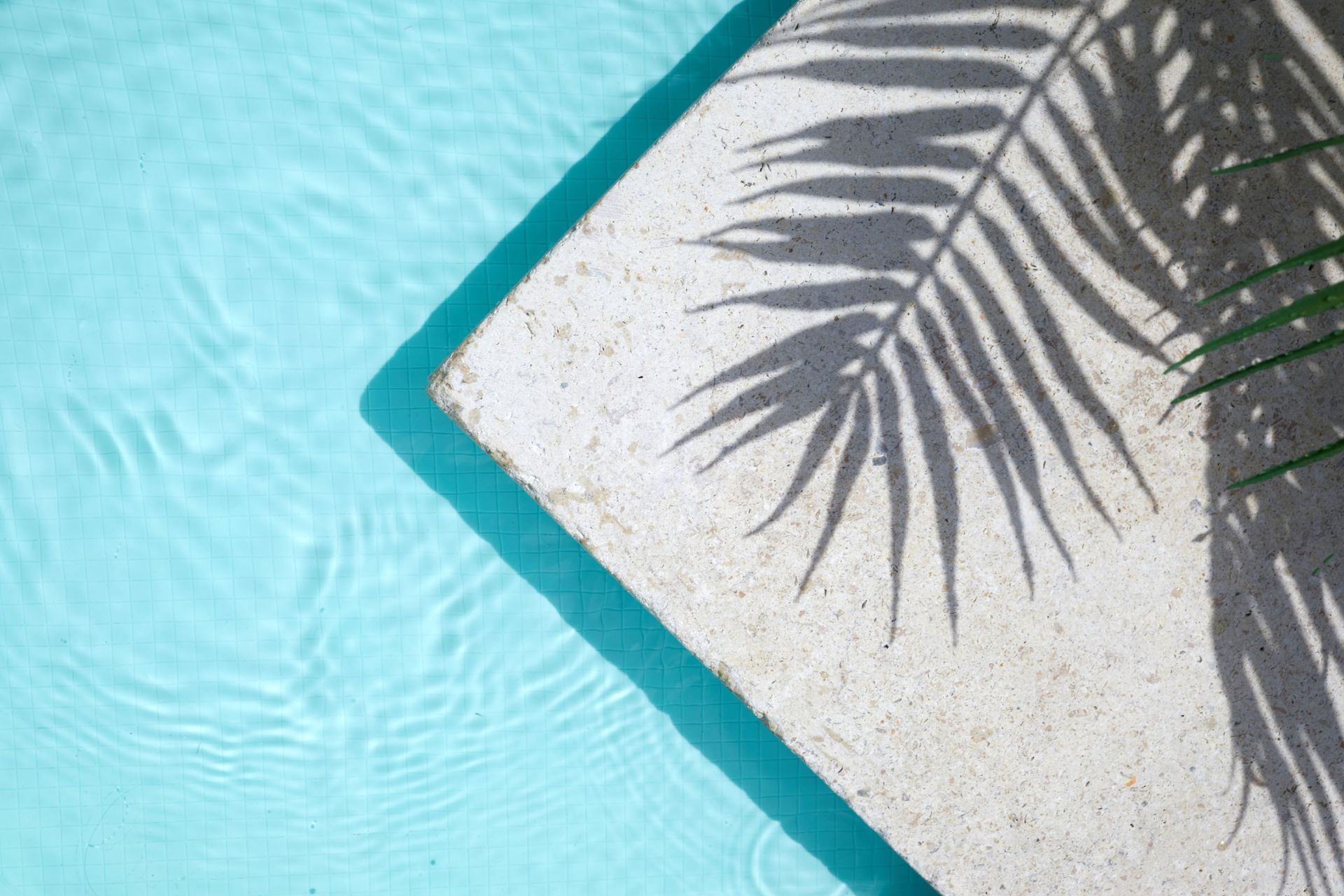 A Poolside Corner With Palm Leaf Shadow on Textured Concrete Next to Rippling Blue Water — Cascade Pool & Spa Centre in Port Macquarie, NSW