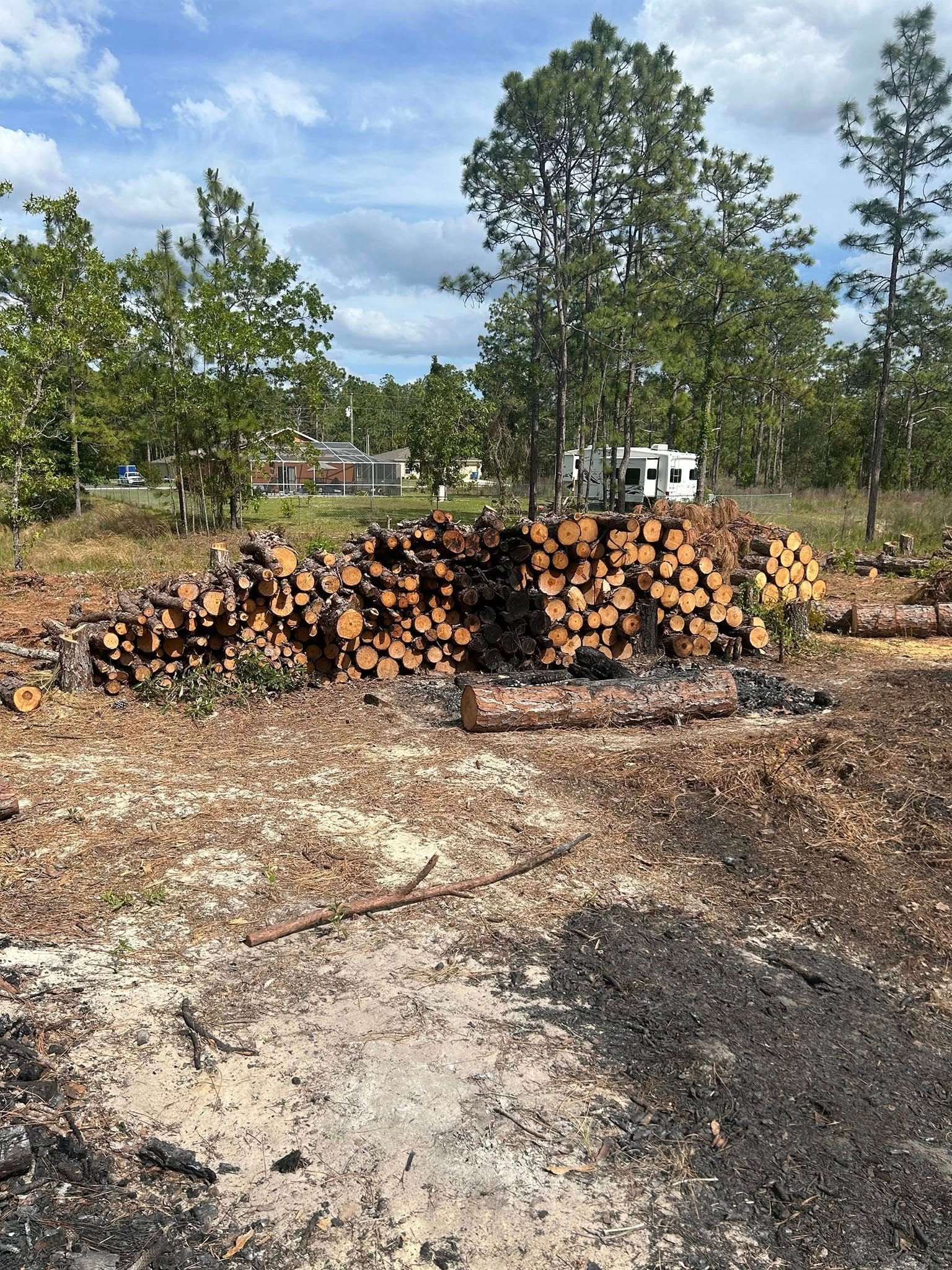 A large pile of cut logs sits in a clearing of a forest with a camper parked in the background.