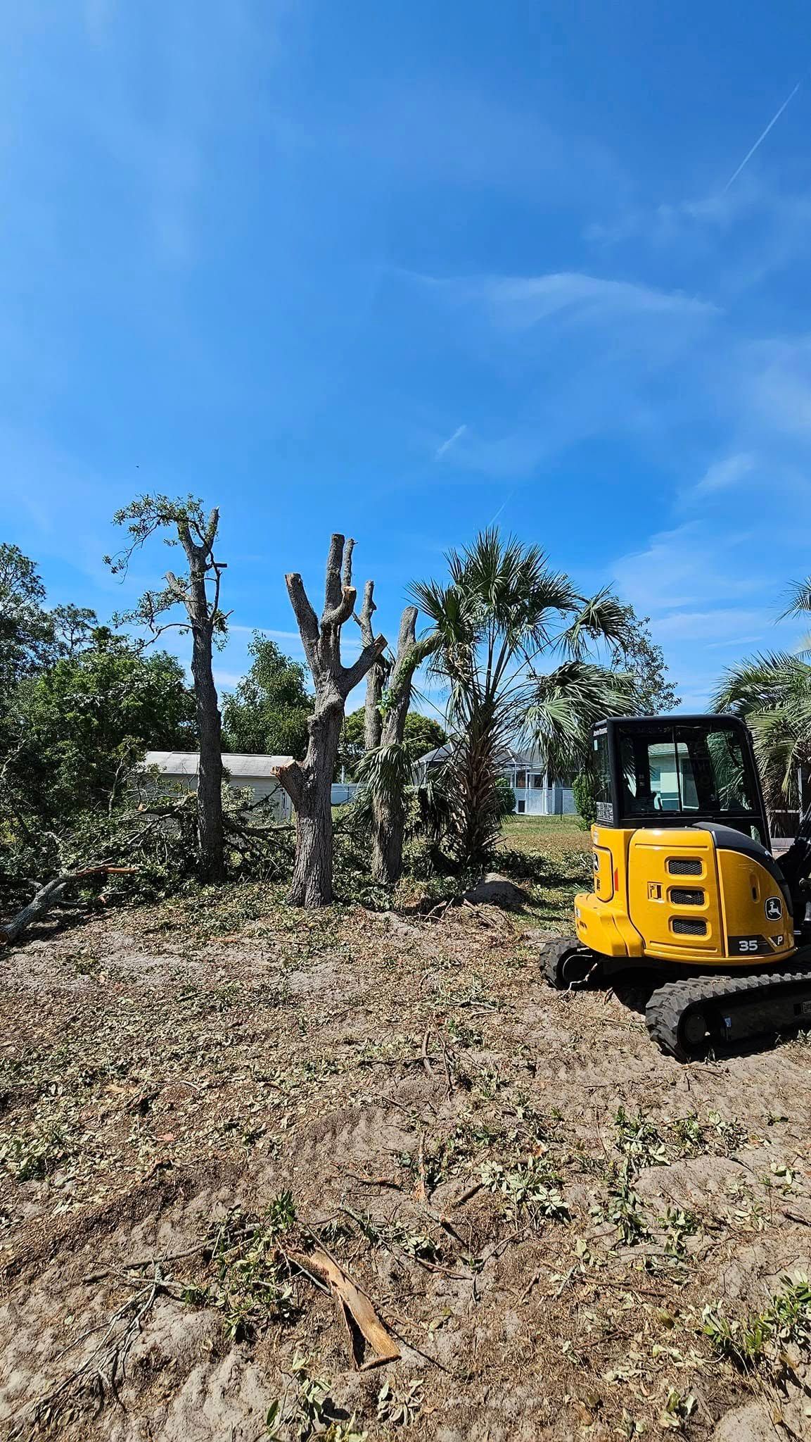 A yellow compact excavator sits on cleared dirt near trees that have been trimmed or topped against a bright blue sky.