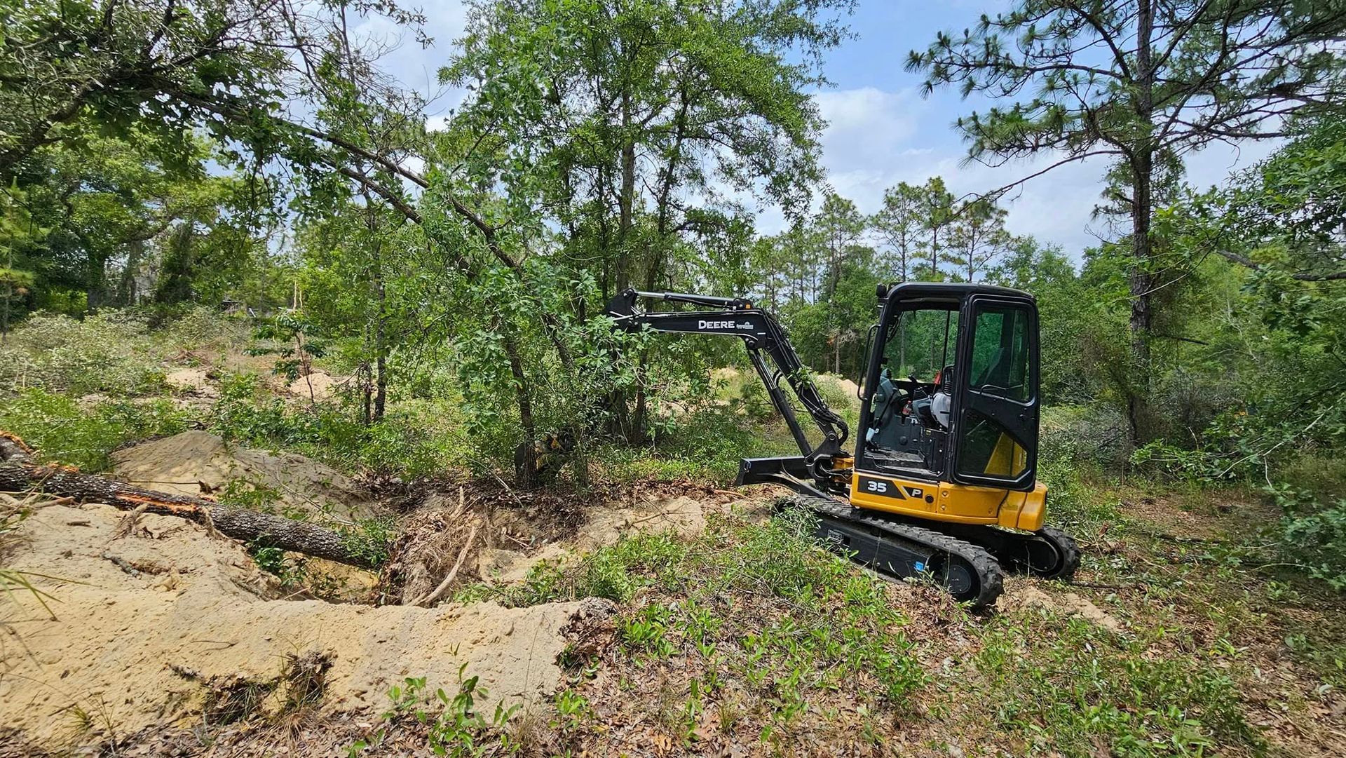 A yellow mini excavator with a grapple attachment clears brush and small trees in a wooded area.