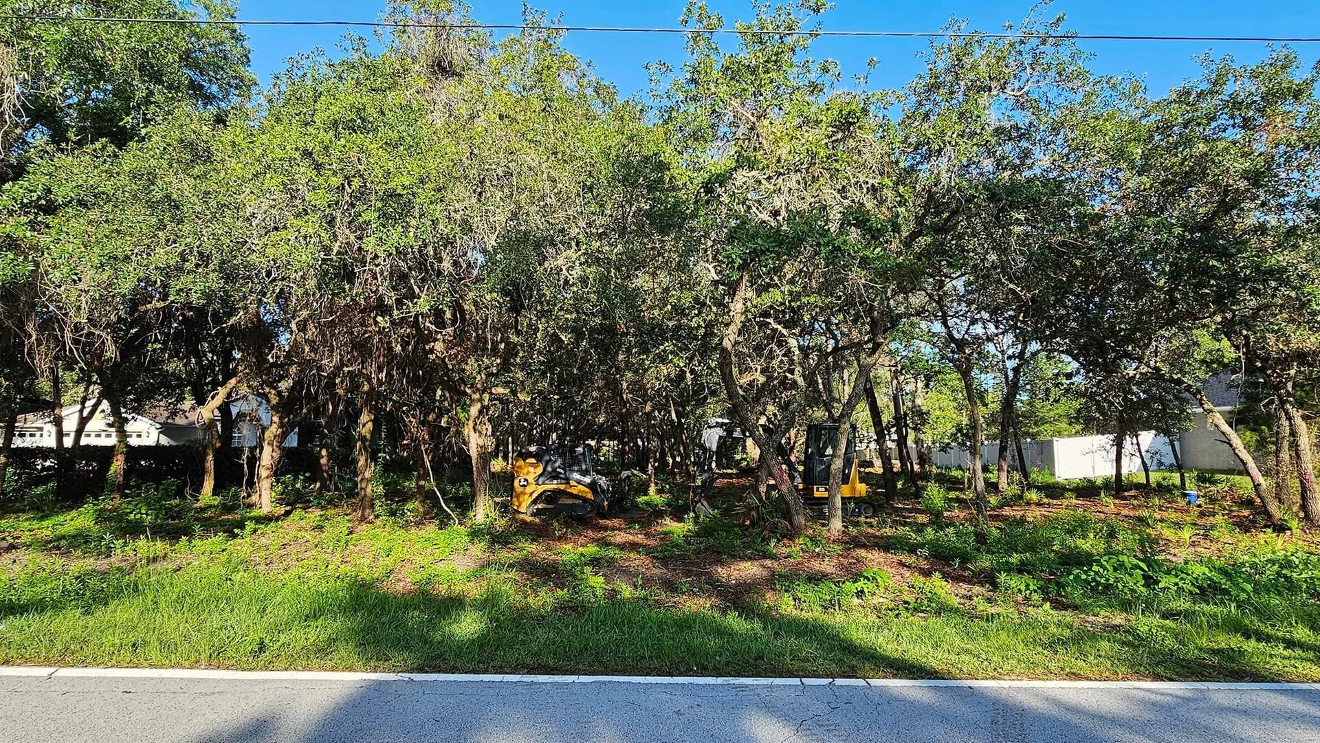 A piece of yellow construction equipment operates behind a dense row of trees along a paved road.