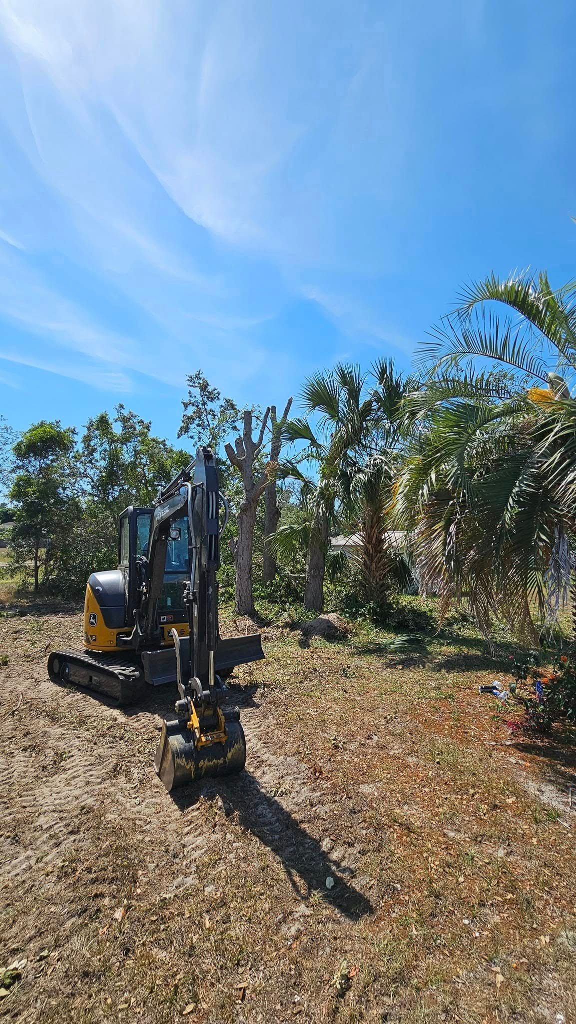 A yellow compact excavator parked on cleared, wood-chipped ground in front of a line of trees under a bright blue sky.