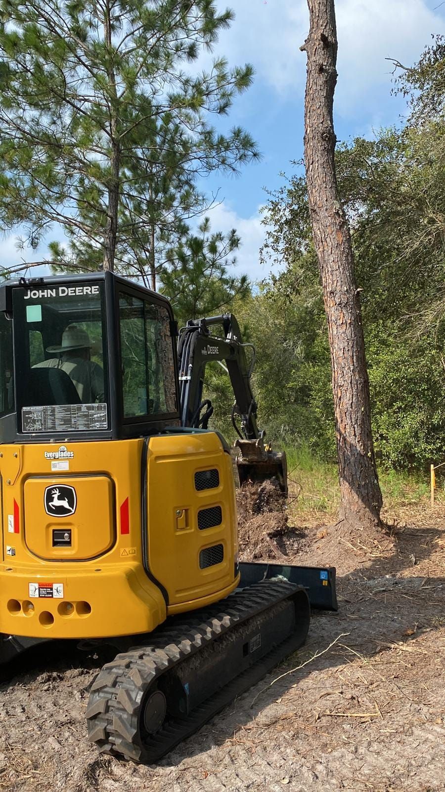 A yellow John Deere compact excavator works in a wooded area, clearing dirt near the base of a pine tree.