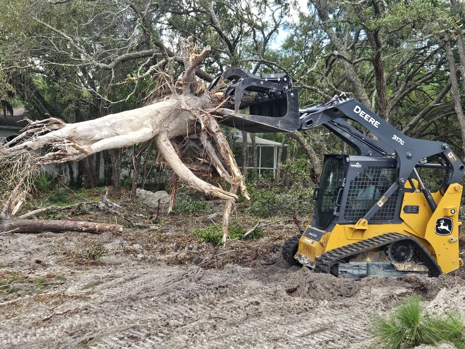 A yellow John Deere skid steer with a grapple attachment lifting a large uprooted tree in a wooded area.