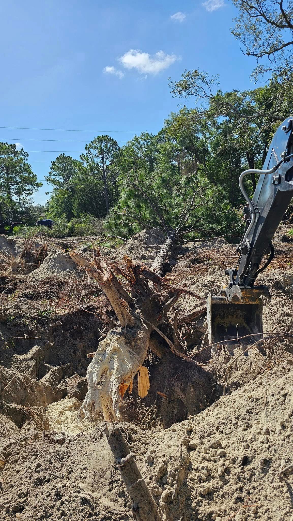 An excavator digging into a cleared, muddy plot of land with a line of trees in the background under a blue sky.