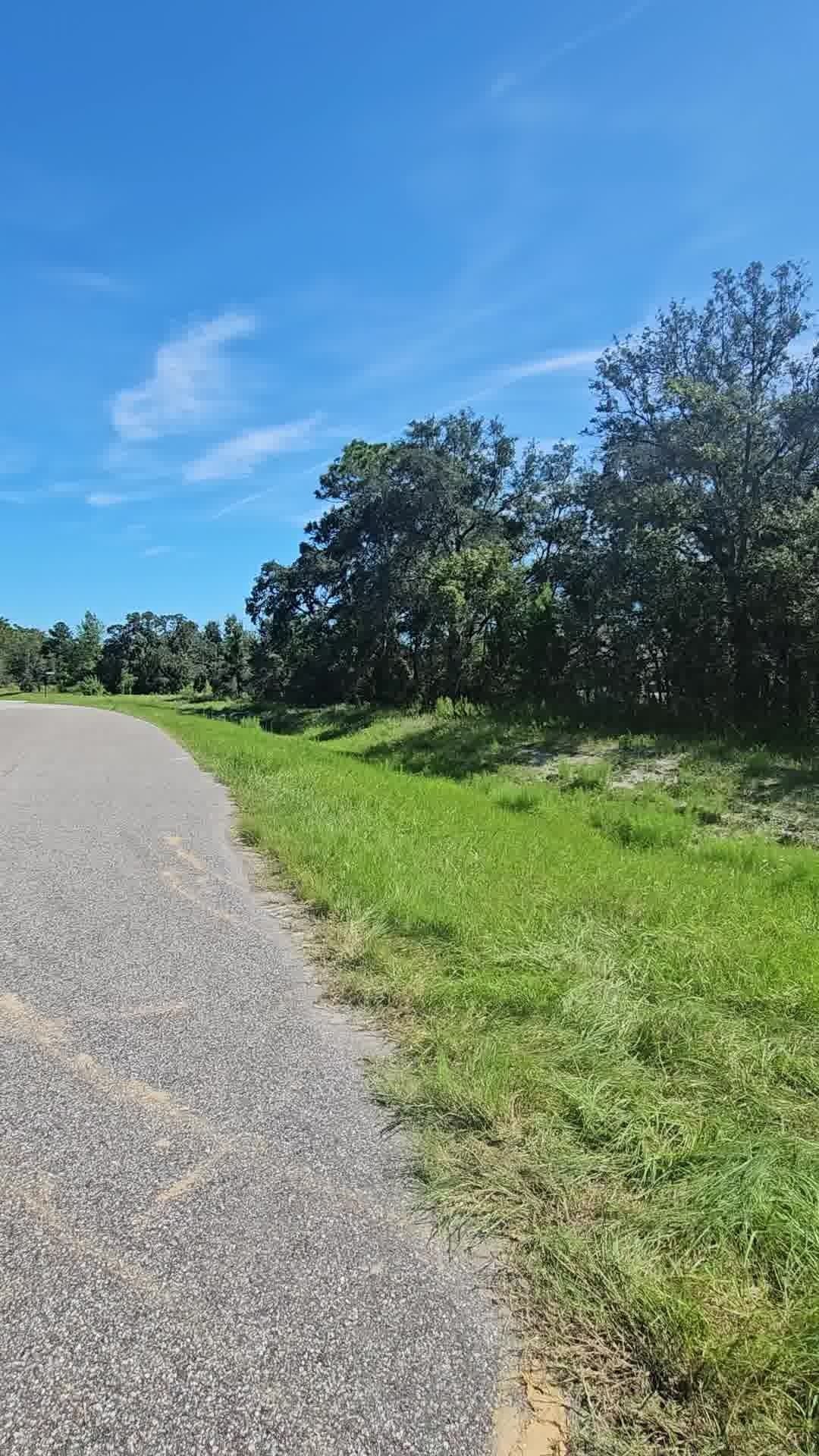 A paved path curves alongside a bright green grassy slope leading to a dense line of trees under a clear blue sky.