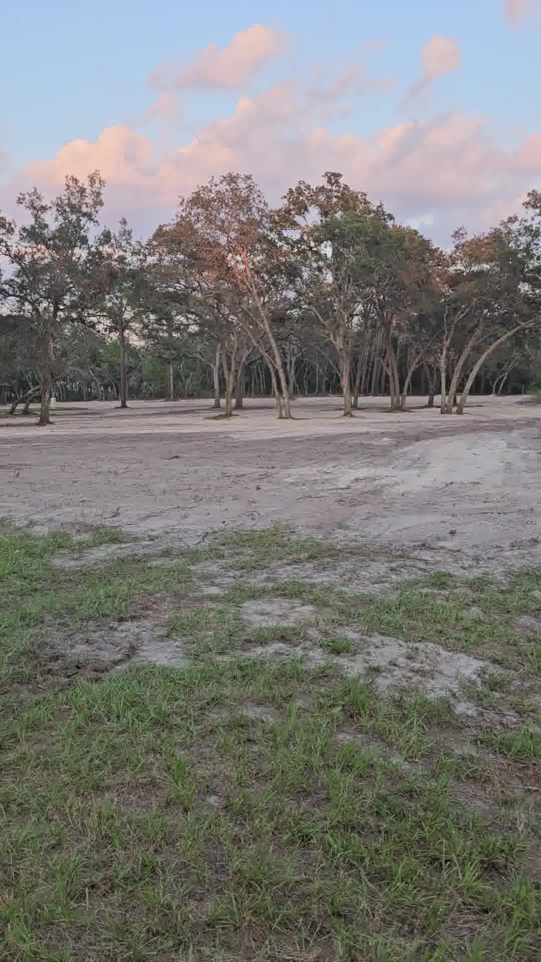 A grassy foreground leads to a sandy clearing framed by trees against a soft, pink-tinted sunset sky.