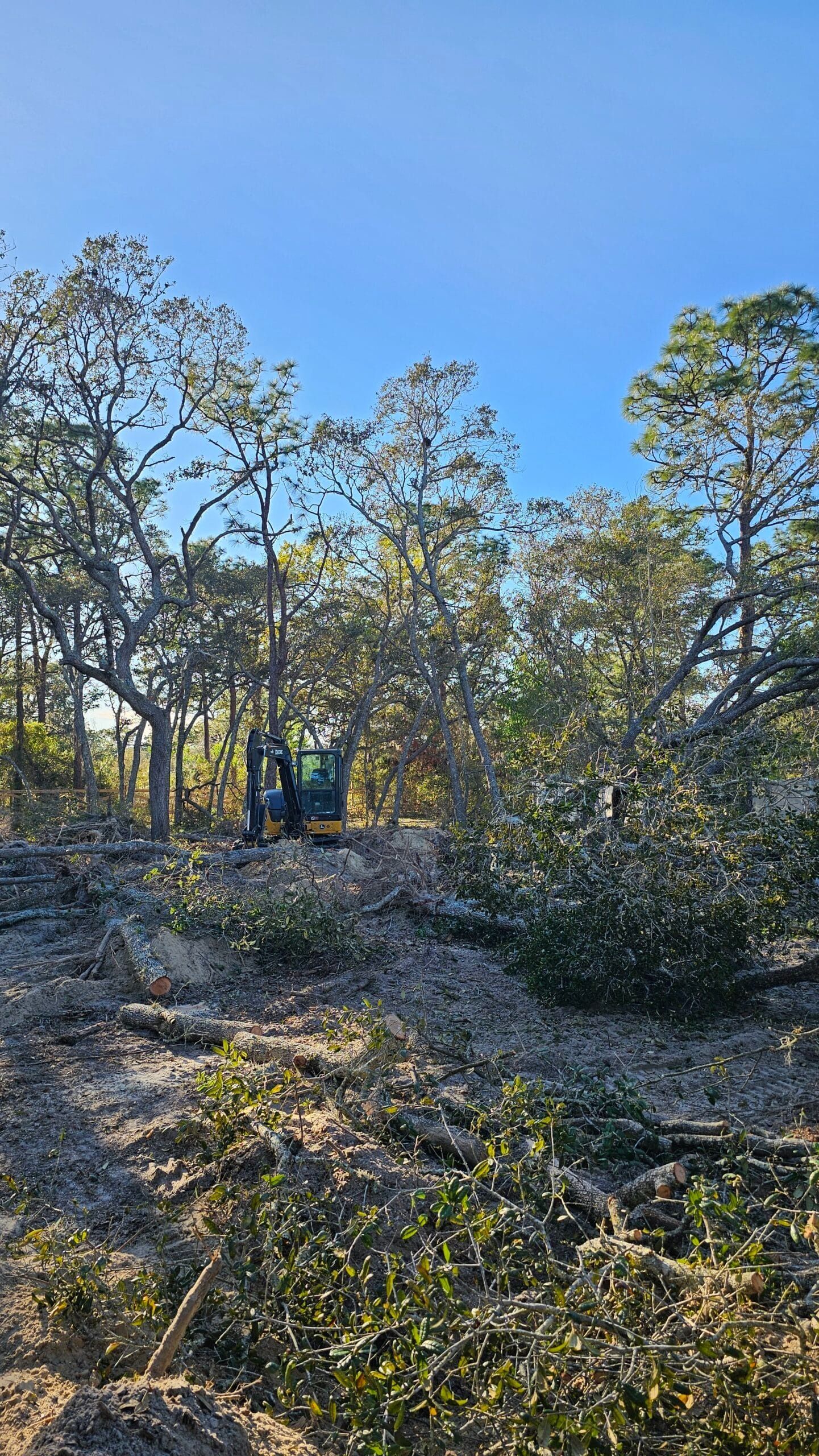 A blue heavy machinery excavator parked in a forest clearing with scattered brush and trees under a clear blue sky.