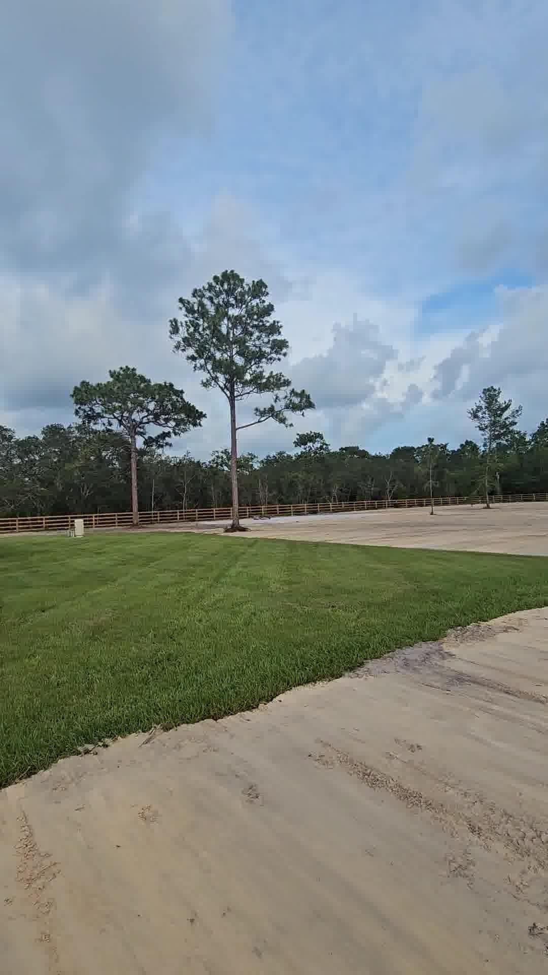 A patch of green grass meets a sandy, cleared construction lot with scattered trees under a blue, cloudy sky.