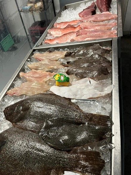 A variety of fish are sitting on top of ice in a tray.