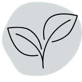 A line drawing of two leaves on a gray background.