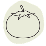 A line drawing of a tomato on a white background.