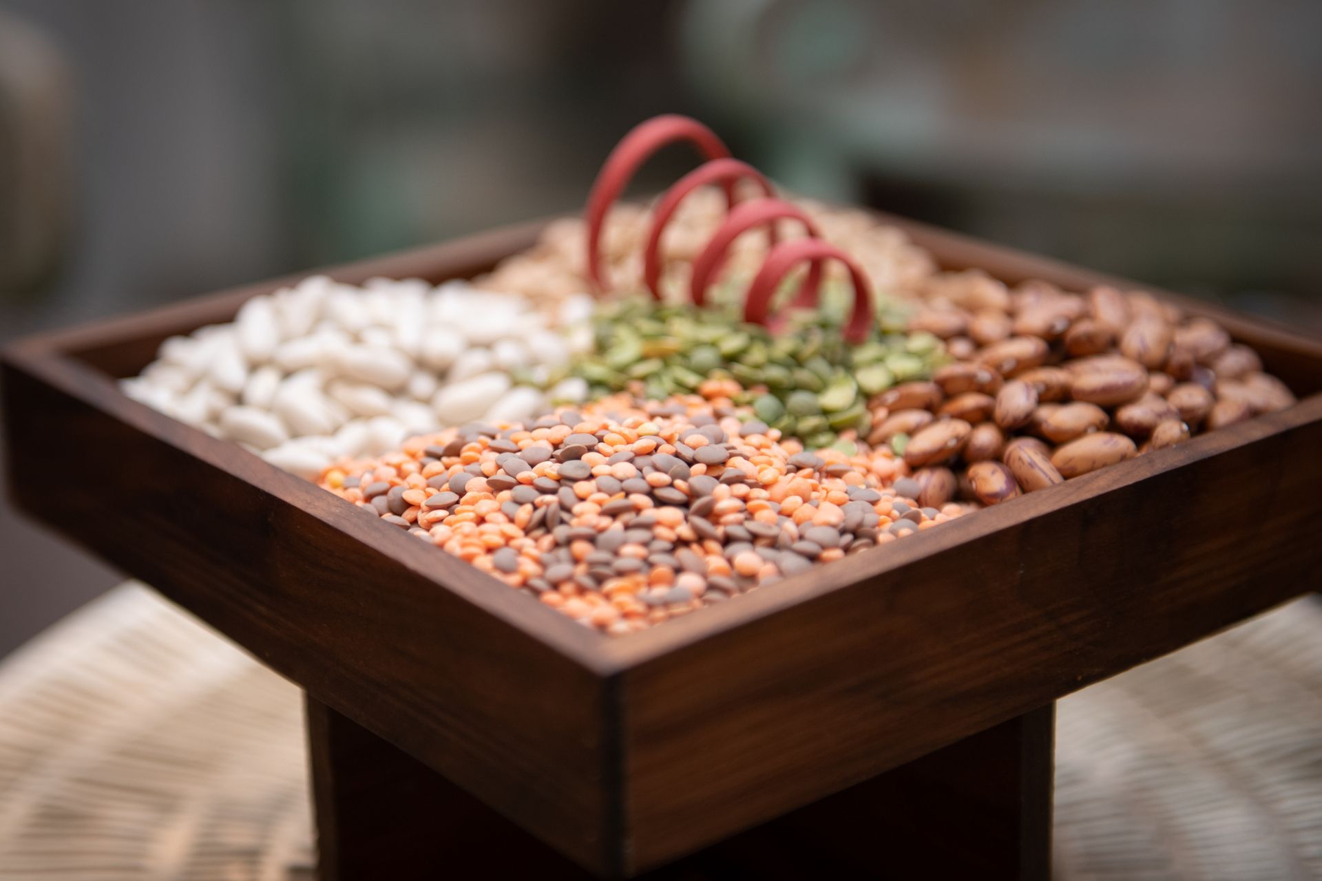 foto gallery 3