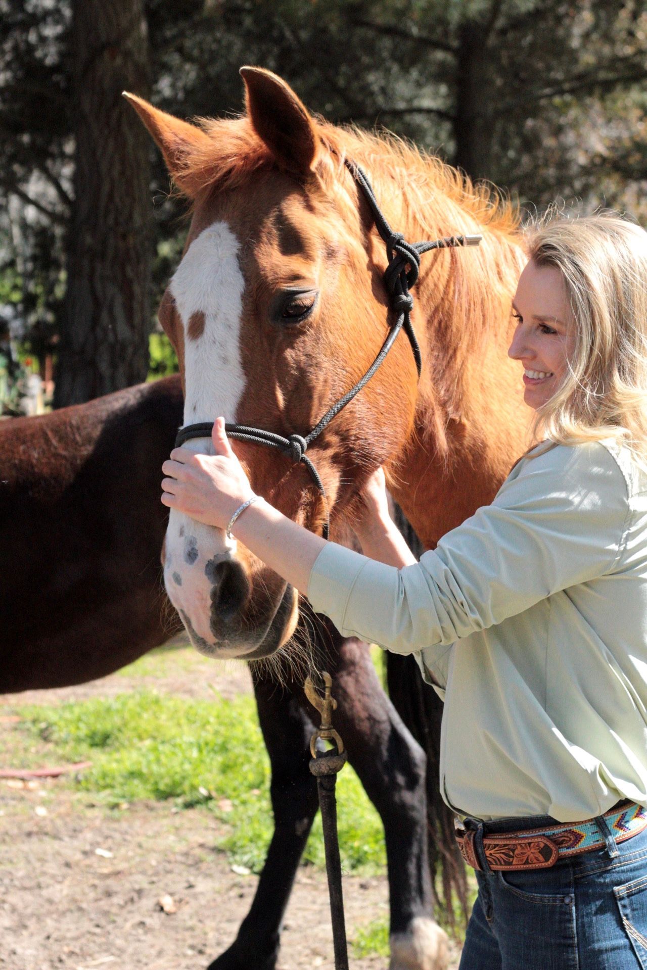Woman rubbing horse for evaluation