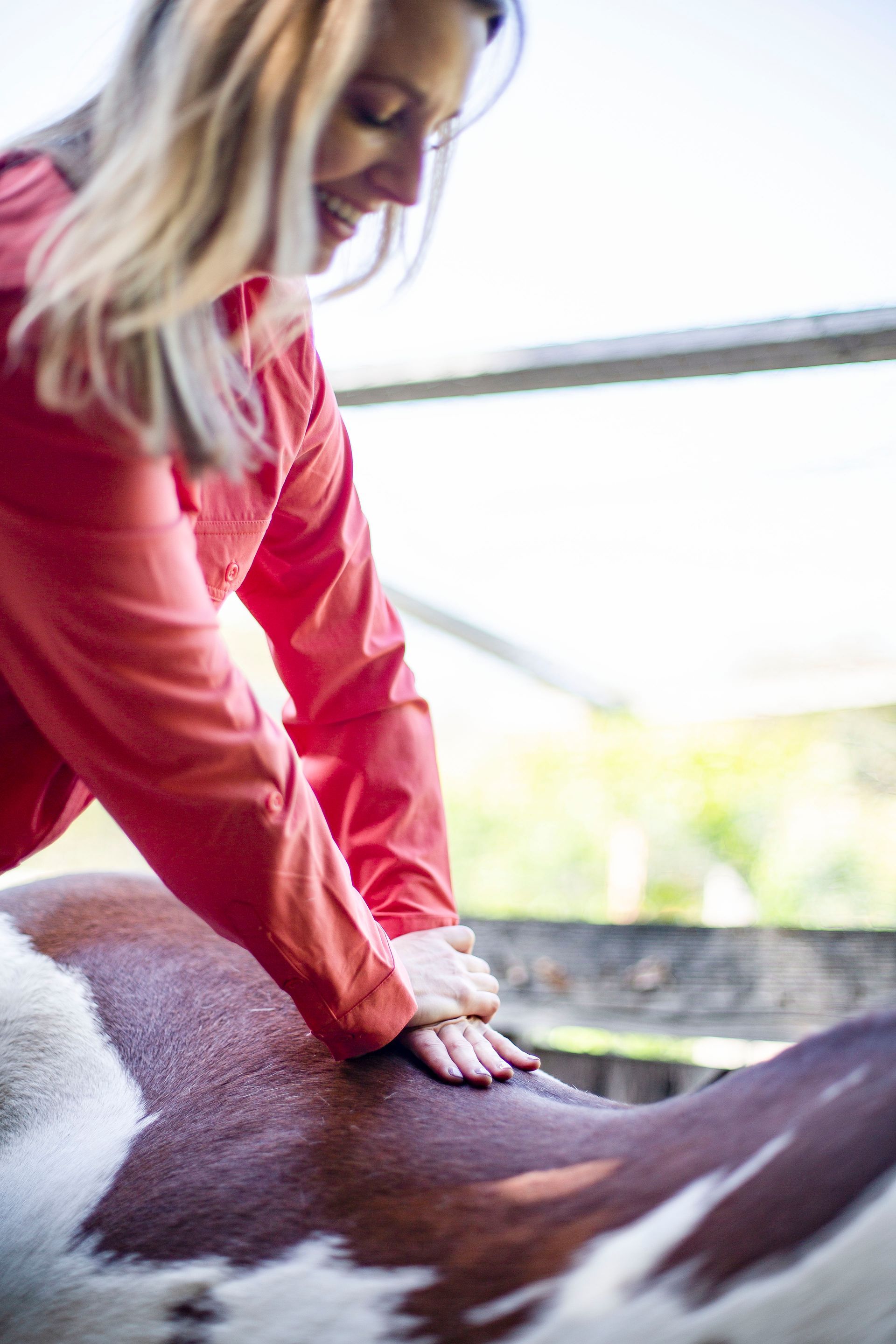 Woman manipulating horse's spine