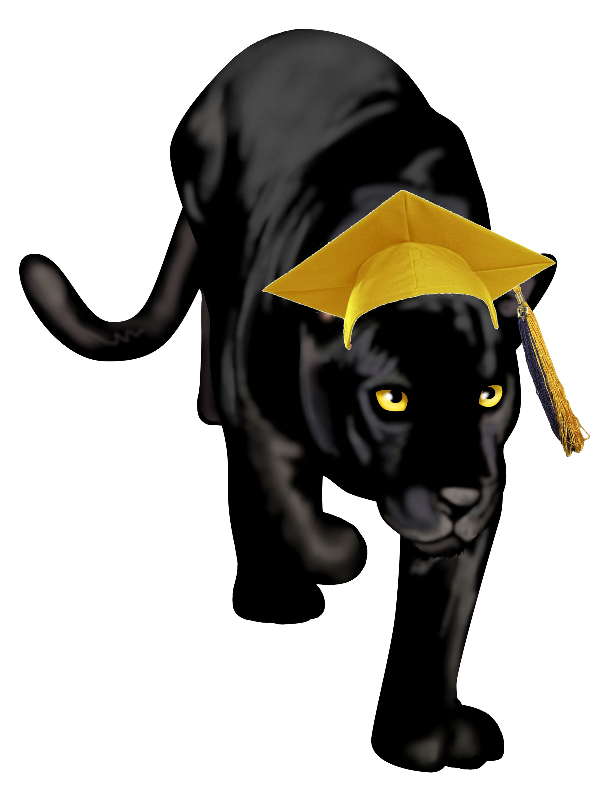 Mead High School Class of 74 Panther