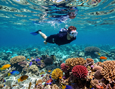 Snorkeling over Belize barrier reef