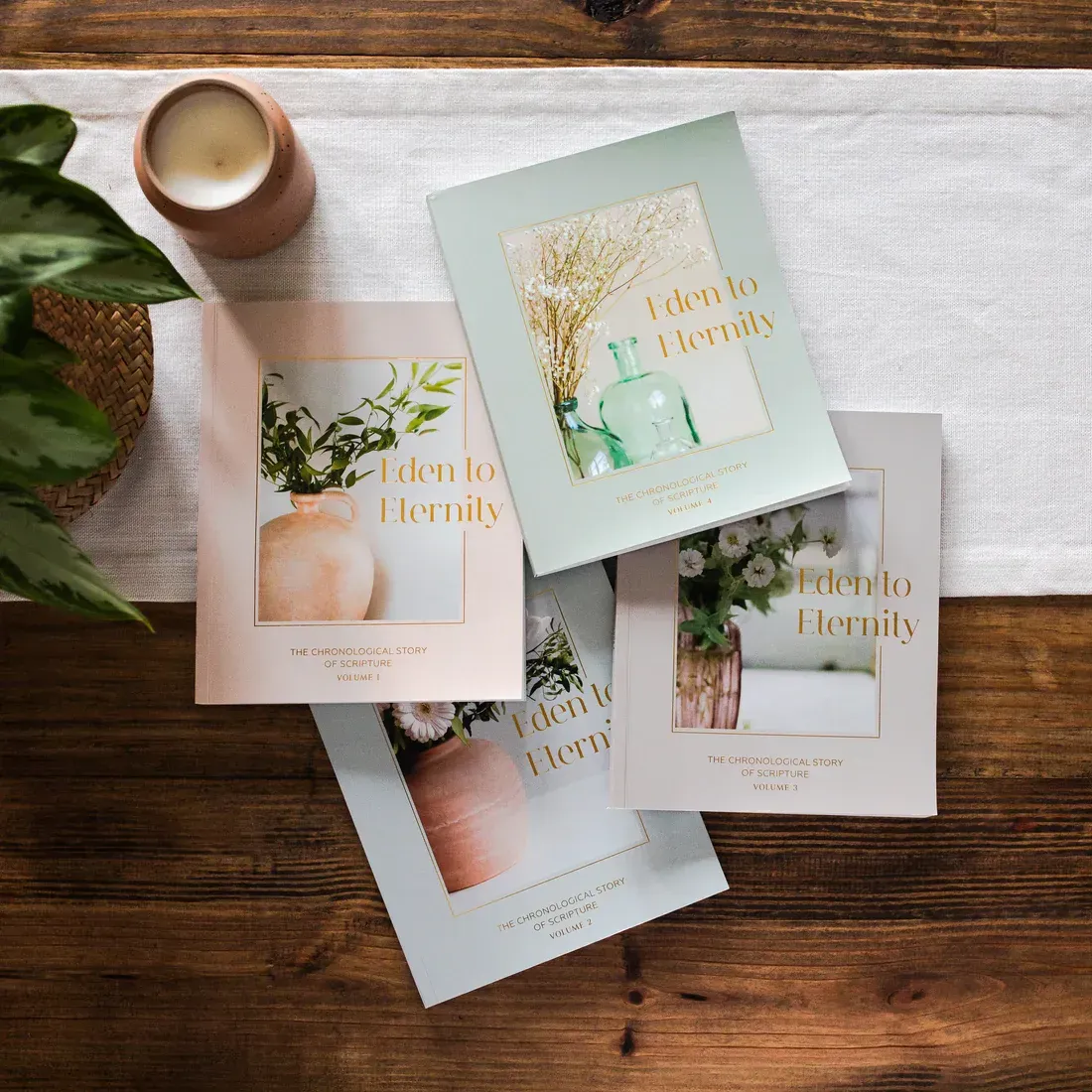 Eden to Eternity Chronlogical Bible Study by Daily Grace Co