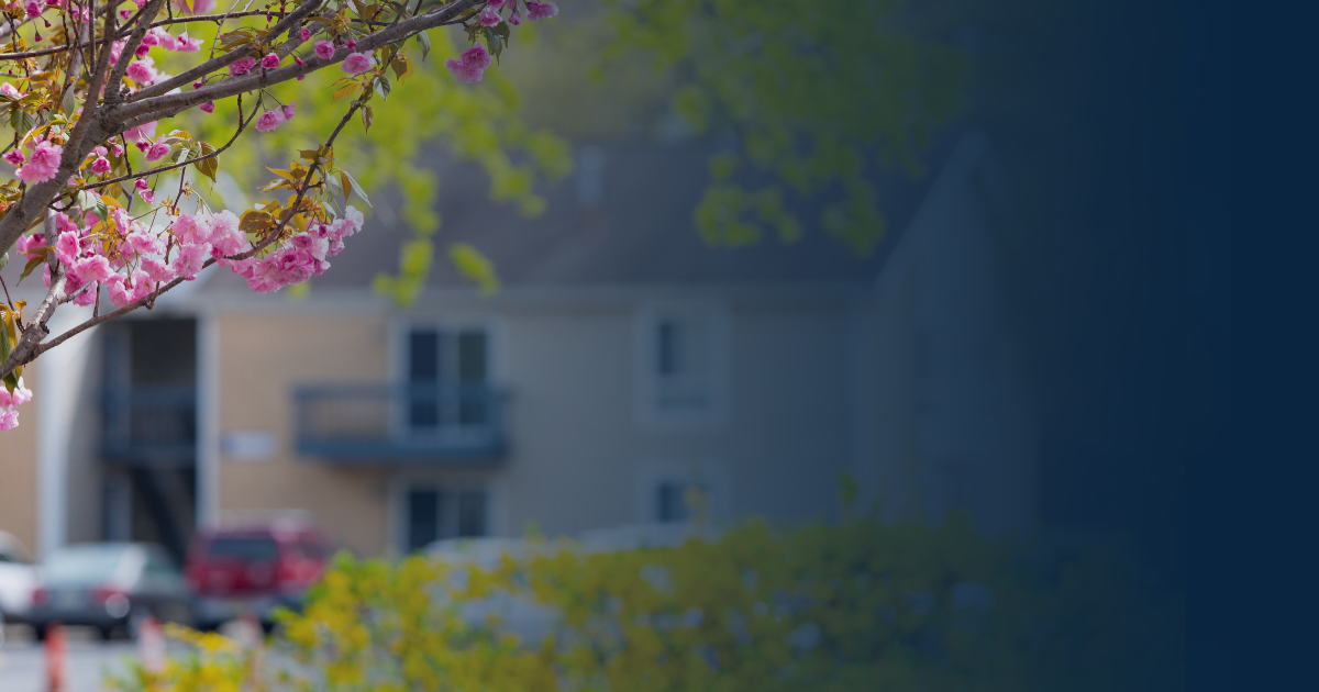 A blooming cherry tree with pink blossoms in the foreground, with an out-of-focus apartment building in the background.