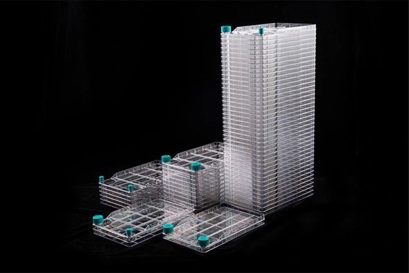黑色背景上的3D線框城市景觀模型,包含一座高塔和幾棟低矮建築。