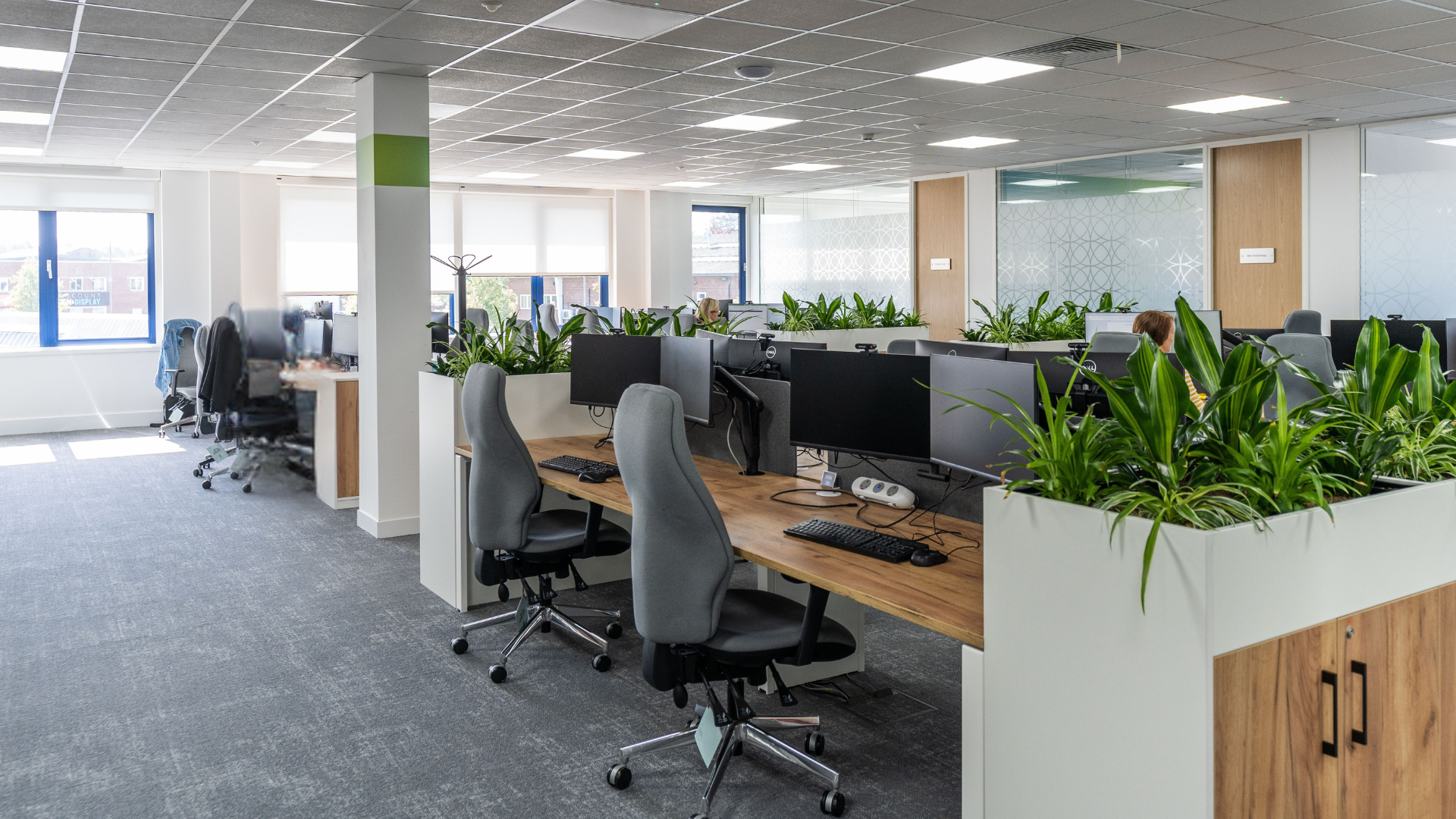 Modern open-plan office with desks, computer monitors, chairs, and large green plants under bright windows.