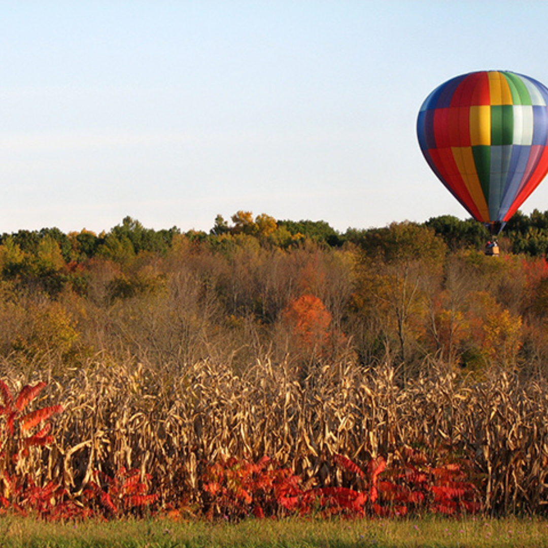 Balloon NY